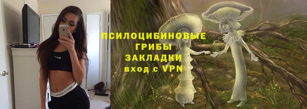 стаф Богданович