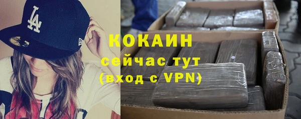 мдпв Бронницы