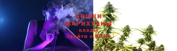 стаф Богданович