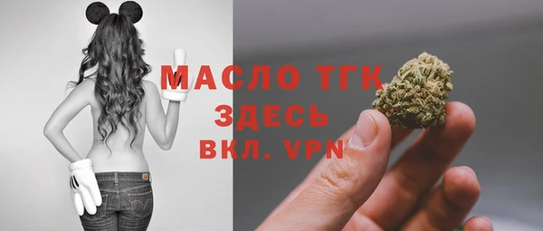 стаф Богданович