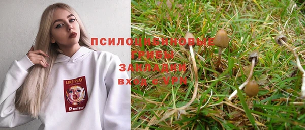 гидропоника Богородск