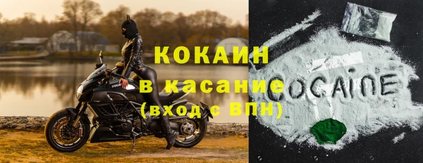 дурь Богородицк