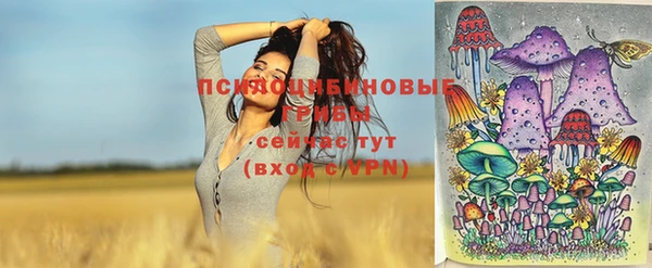 ПСИЛОЦИБИНОВЫЕ ГРИБЫ Бородино