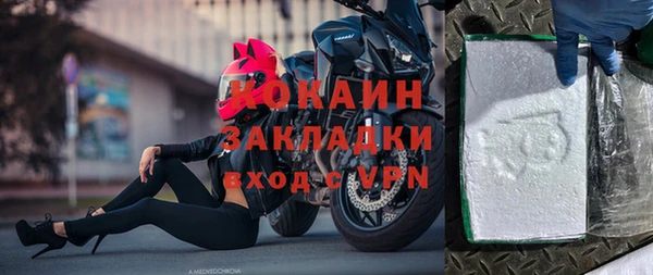 стаф Богданович
