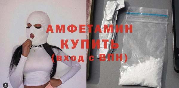 стаф Богданович