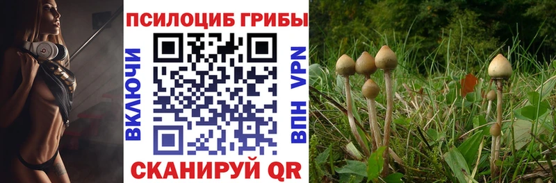 Галлюциногенные грибы Psilocybe  Купить  Арсеньев 